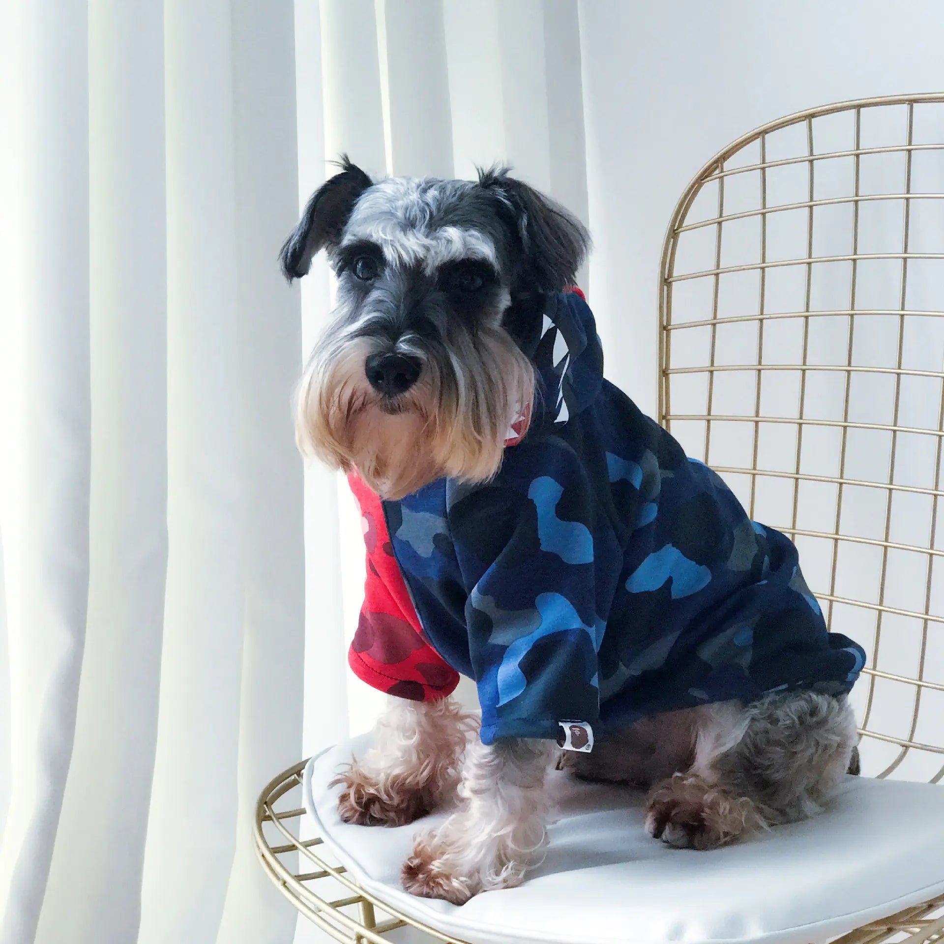 Thick Fall/Winter Pet Hoodie for Dogs and Cats