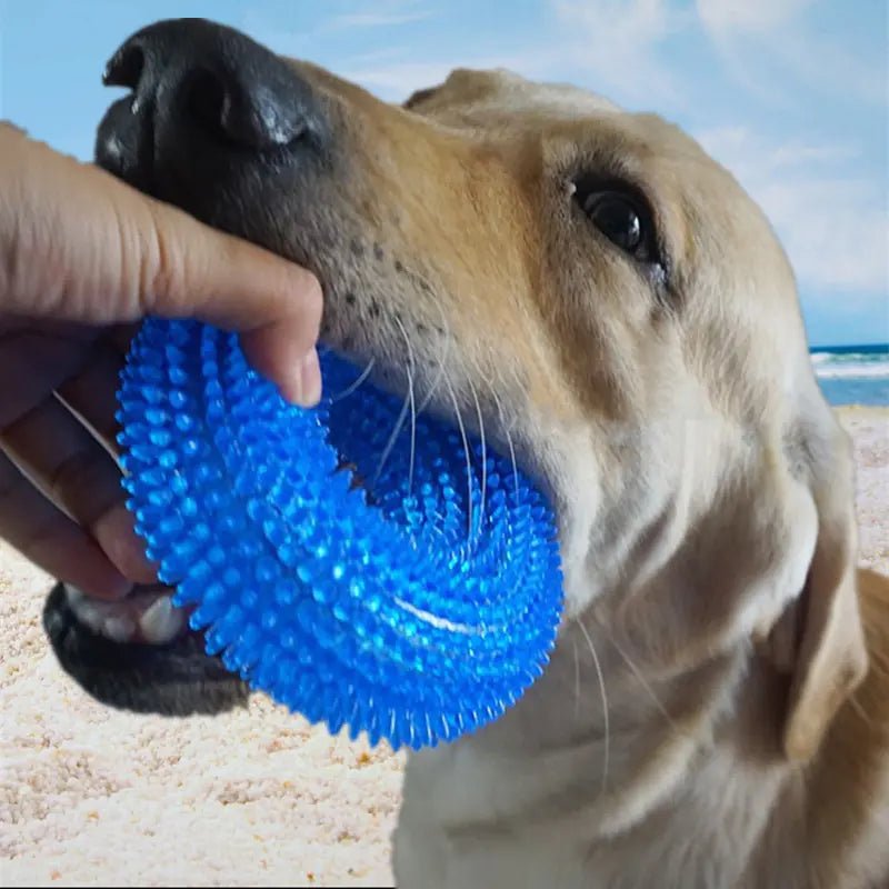 Bite-Resistant Sounding Toy Ball for Pets