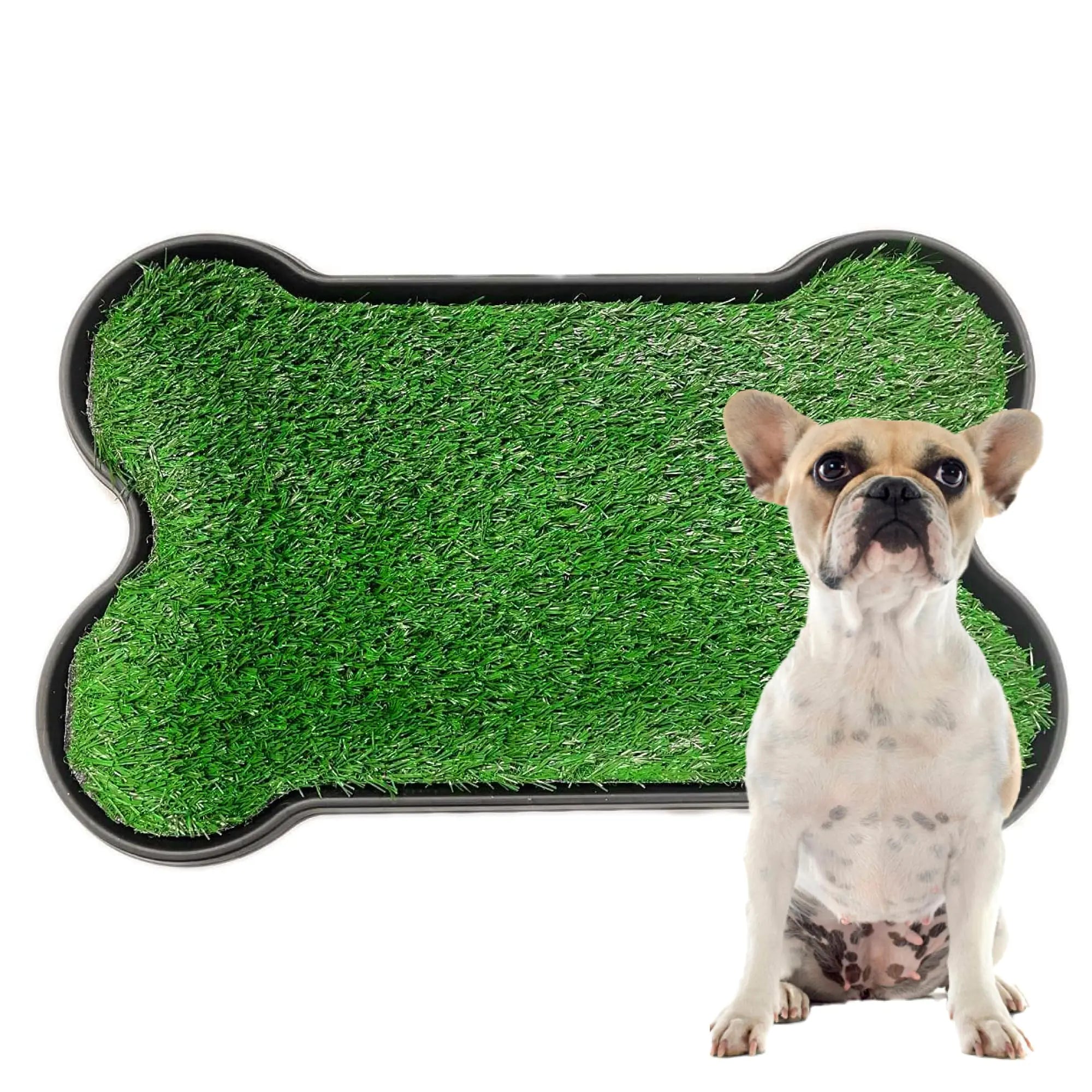 Downtown Pet Supply Dog Grass Pad with Tray 17 x 27 - Outdoor and Indoor Potty System for Dogs with Replaceable Synthetic Grass Pee Turf - Portable and Waterproof Turf Dog Potty